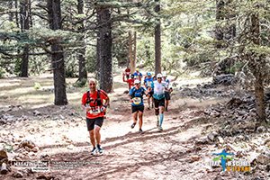 Trail Des Cèdres 2022 (Edition 13)